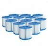 Lot De 12 Cartouches De Filtration Type H Pour Piscines Intex