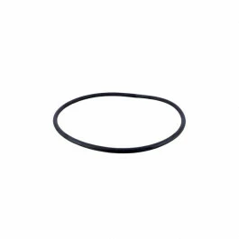 Joint De Couvercle Pentair Pour Filtre à Sable TRITON Neo 1 Joint De Couvercle Pentair Pour Filtre à Sable TRITON Neo