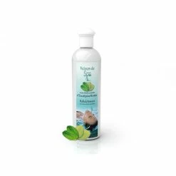 Parfum De Spa à Base D'huiles Essentielles D'Eucalyptus Et Menthe 250 Ml -Bleu Piscine parfum spa huiles essentielles eucalyptus menthe camylle 250 ml 2